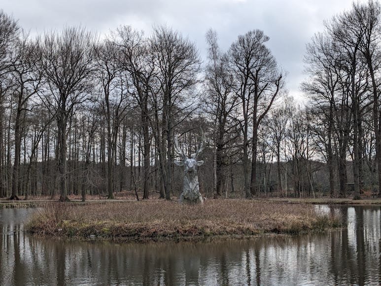 Ausflug in die Natur #6