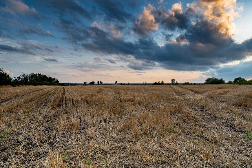 Ausflug in die Natur #5